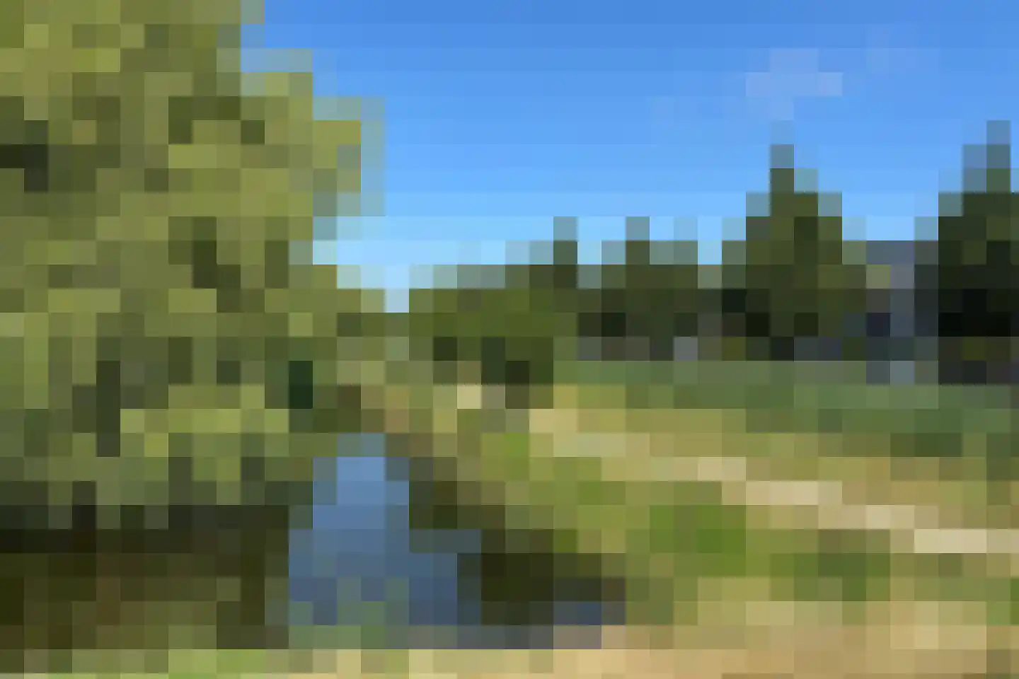 Paaldijk 47 Zwaag thumbnail 56