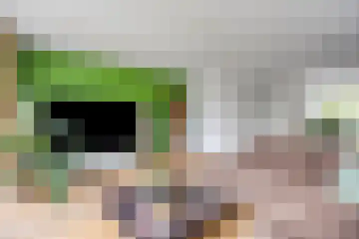 Paaldijk 48 Zwaag thumbnail 12