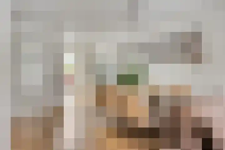Paaldijk 48 Zwaag thumbnail 13