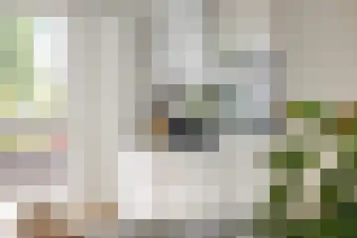 Paaldijk 48 Zwaag thumbnail 15