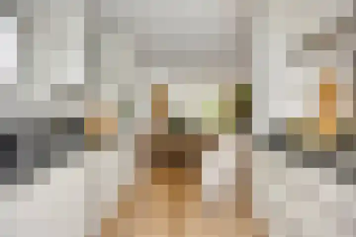Paaldijk 48 Zwaag thumbnail 17