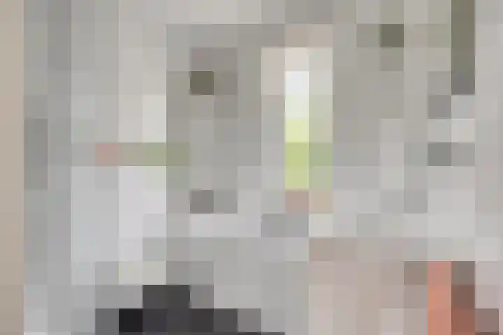 Paaldijk 48 Zwaag thumbnail 21