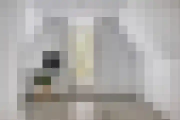 Paaldijk 48 Zwaag thumbnail 28