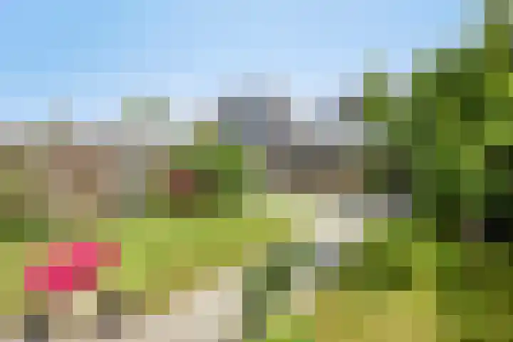 Paaldijk 48 Zwaag thumbnail 30