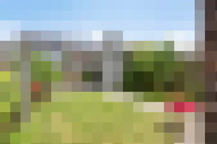 Paaldijk 48 Zwaag thumbnail 31