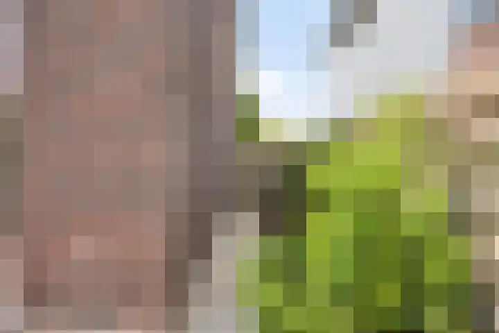 Paaldijk 48 Zwaag thumbnail 32