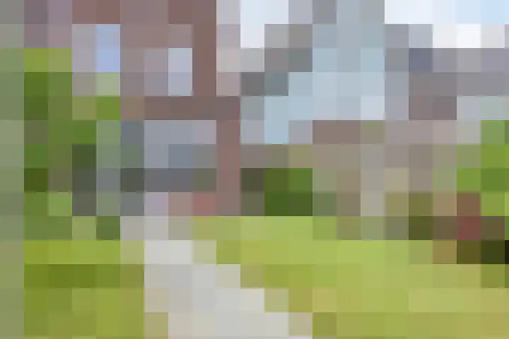 Paaldijk 48 Zwaag thumbnail 34
