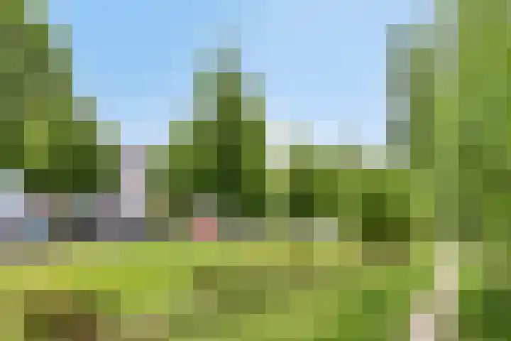 Paaldijk 48 Zwaag thumbnail 36