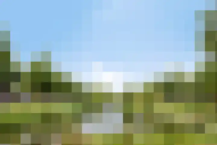 Paaldijk 48 Zwaag thumbnail 37