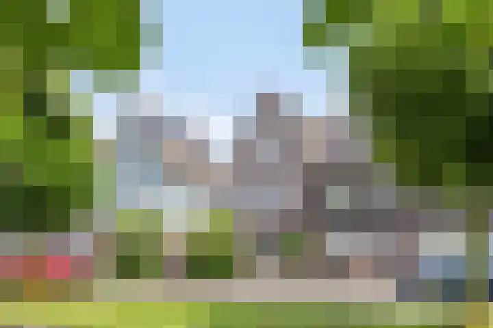 Paaldijk 48 Zwaag thumbnail 4