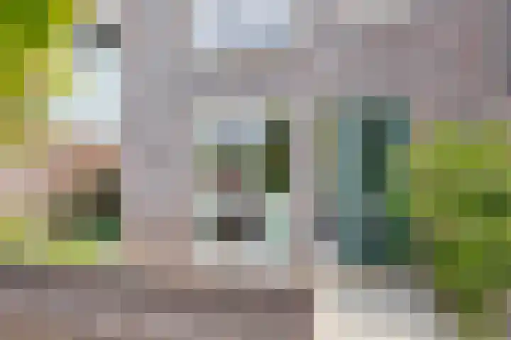 Paaldijk 48 Zwaag thumbnail 6