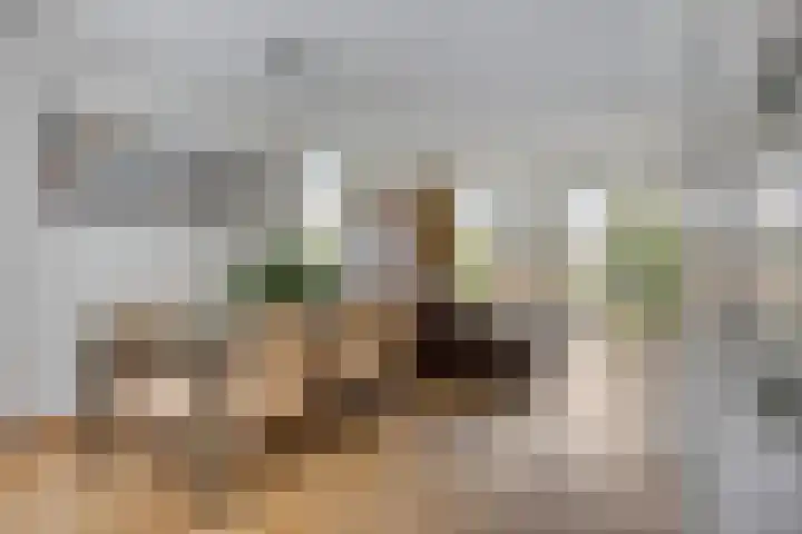 Paaldijk 48 Zwaag thumbnail 8