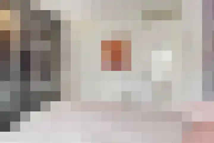 Paaldijk 8 Zwaag thumbnail 13