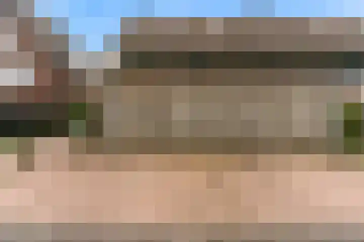 Paaldijk 8 Zwaag thumbnail 15