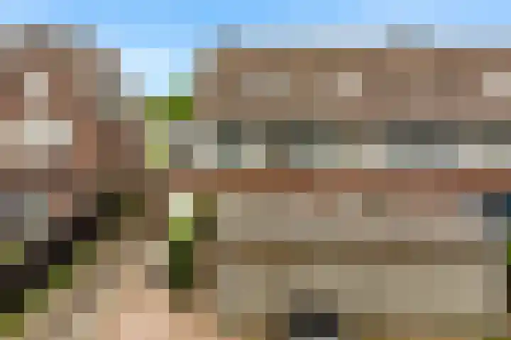 Paaldijk 8 Zwaag thumbnail 16