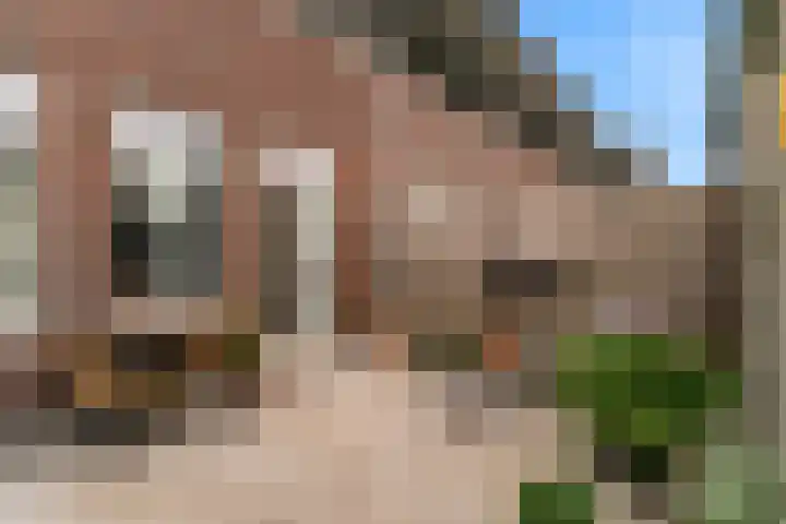 Paaldijk 8 Zwaag thumbnail 17