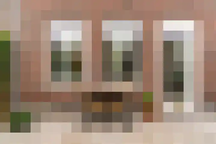 Paaldijk 8 Zwaag thumbnail 18