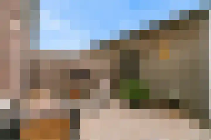 Paaldijk 8 Zwaag thumbnail 21