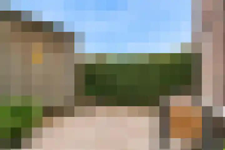 Paaldijk 8 Zwaag thumbnail 22