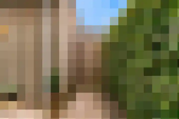Paaldijk 8 Zwaag thumbnail 23
