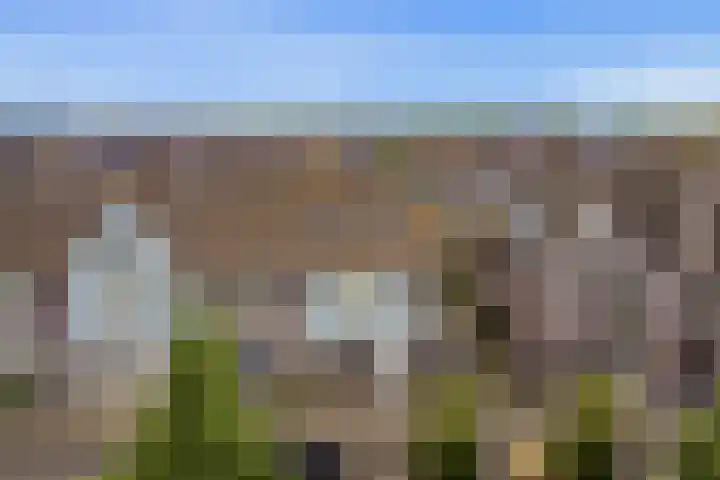 Paaldijk 8 Zwaag thumbnail 24