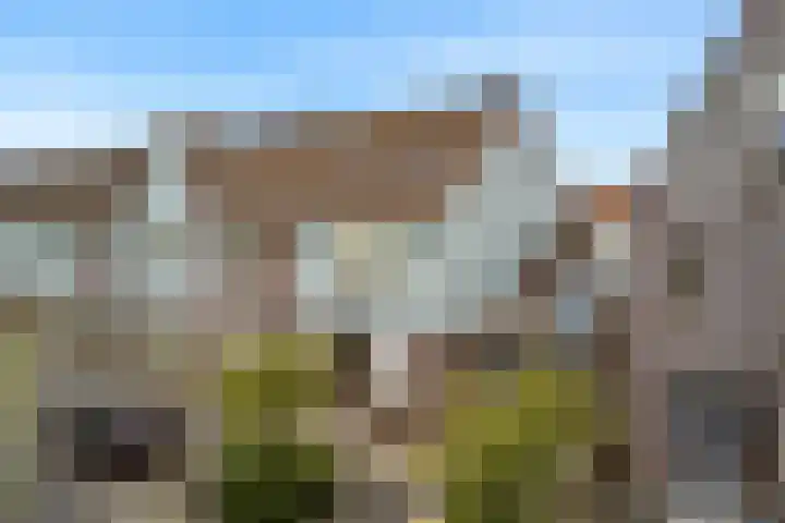 Paaldijk 8 Zwaag thumbnail 25
