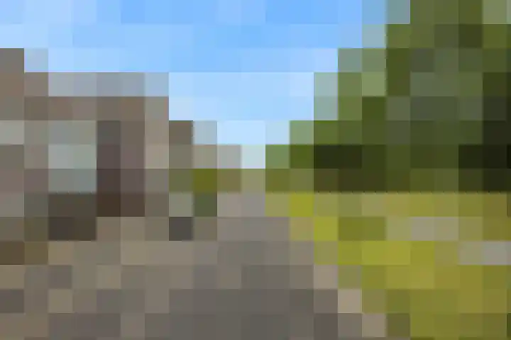 Paaldijk 8 Zwaag thumbnail 26