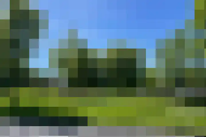 Paaldijk 8 Zwaag thumbnail 27