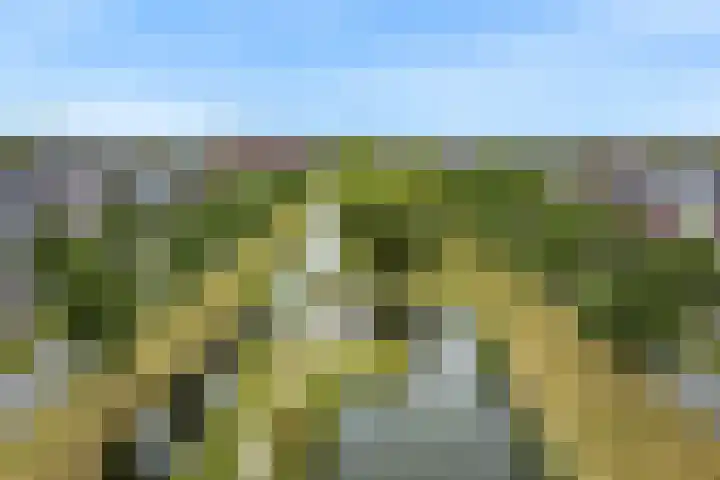 Paaldijk 8 Zwaag thumbnail 28