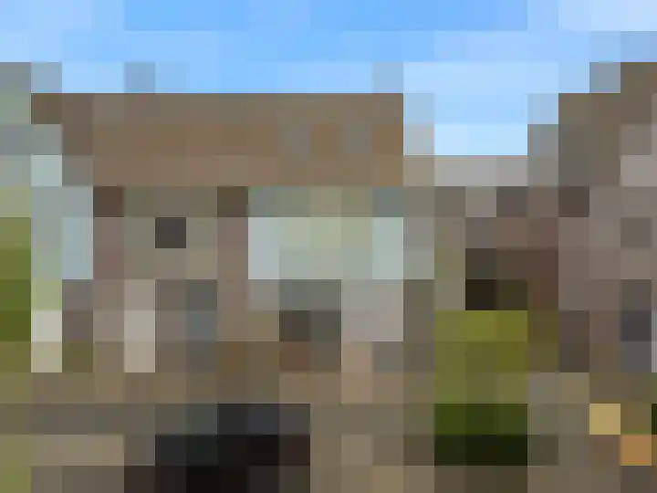 Paaldijk 8 Zwaag thumbnail 33