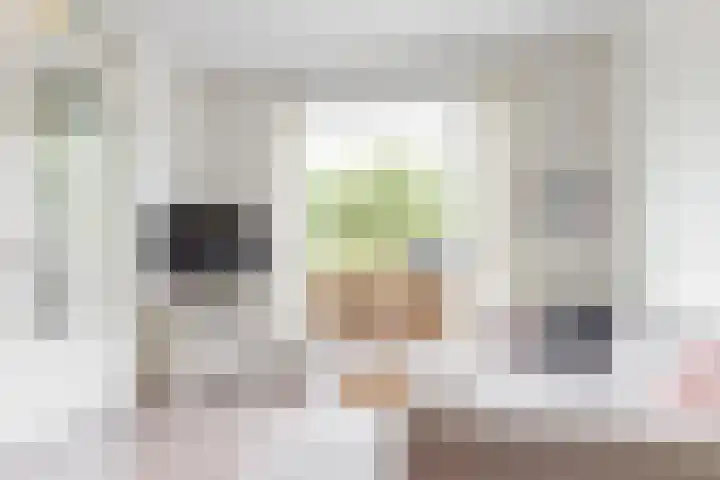 Paaldijk 8 Zwaag thumbnail 4