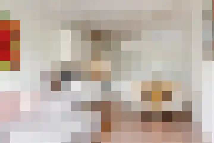 Paaldijk 8 Zwaag thumbnail 5