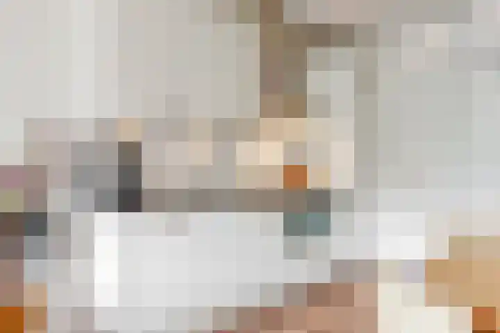 Paaldijk 8 Zwaag thumbnail 6