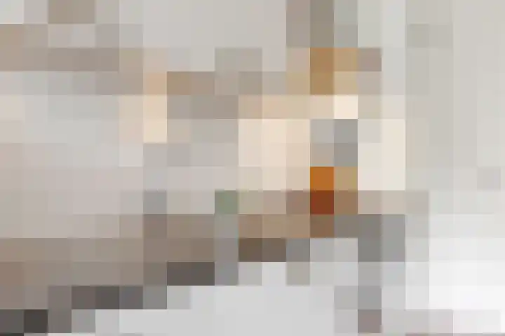 Paaldijk 8 Zwaag thumbnail 7
