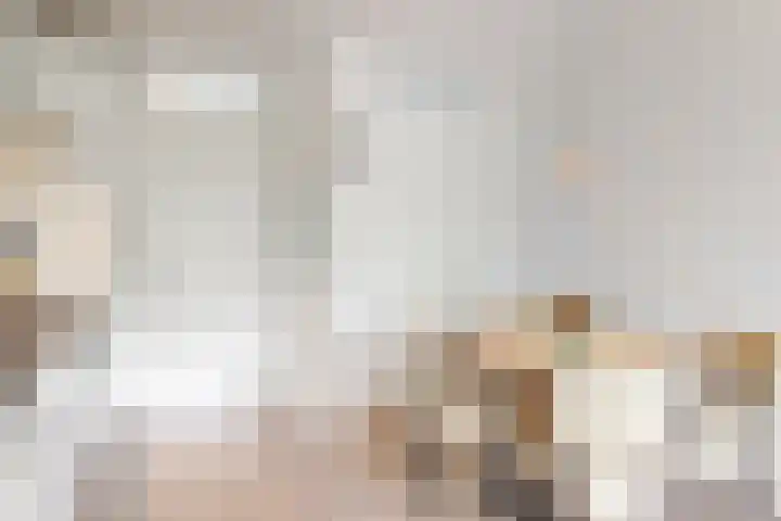 Paaldijk 8 Zwaag thumbnail 8