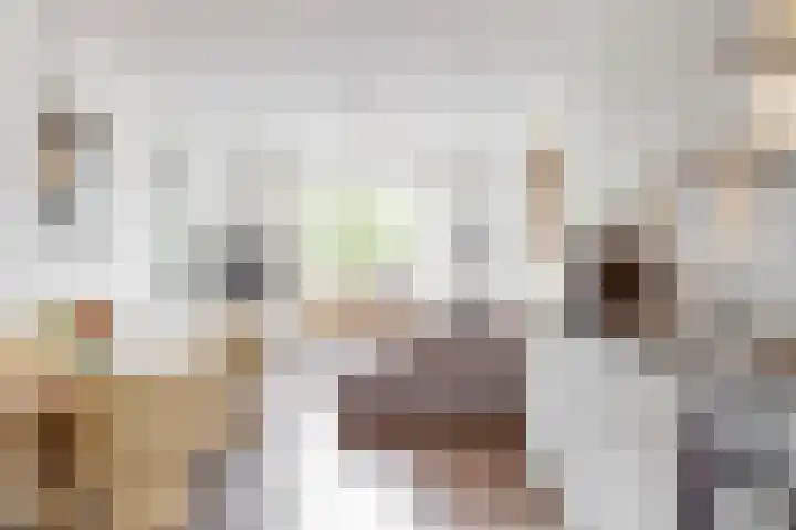 Paaldijk 8 Zwaag thumbnail 9