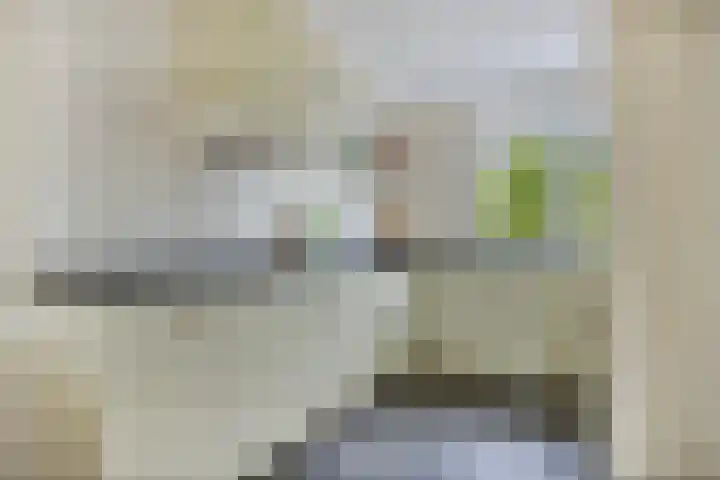 Paaldijk 83 Zwaag thumbnail 11