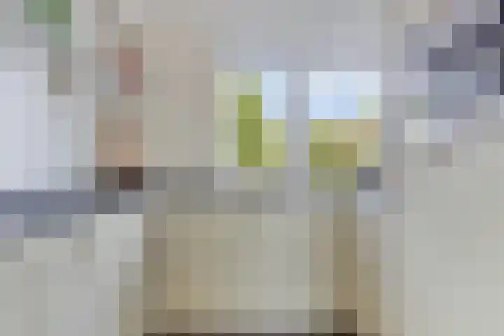 Paaldijk 83 Zwaag thumbnail 12
