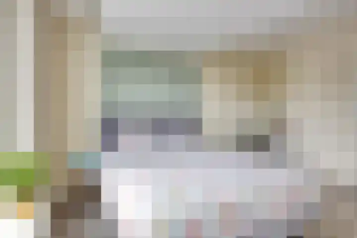 Paaldijk 83 Zwaag thumbnail 16