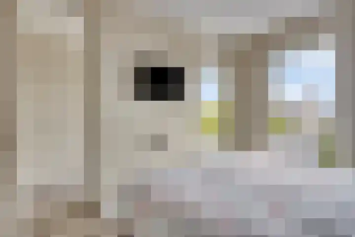 Paaldijk 83 Zwaag thumbnail 17