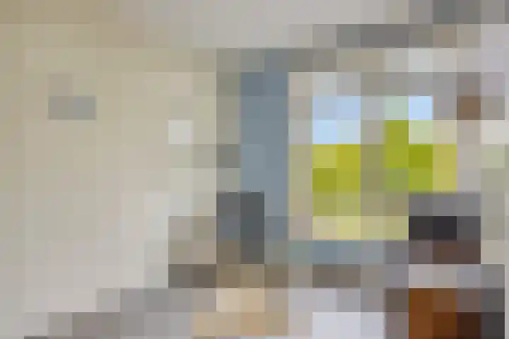 Paaldijk 83 Zwaag thumbnail 22