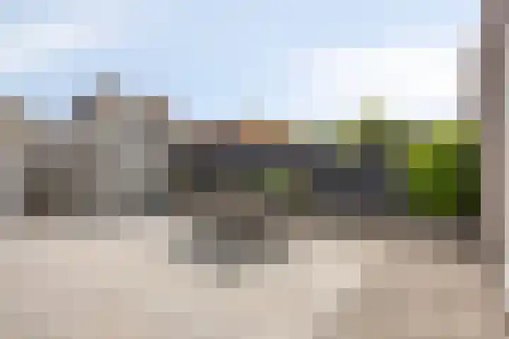 Paaldijk 83 Zwaag thumbnail 28