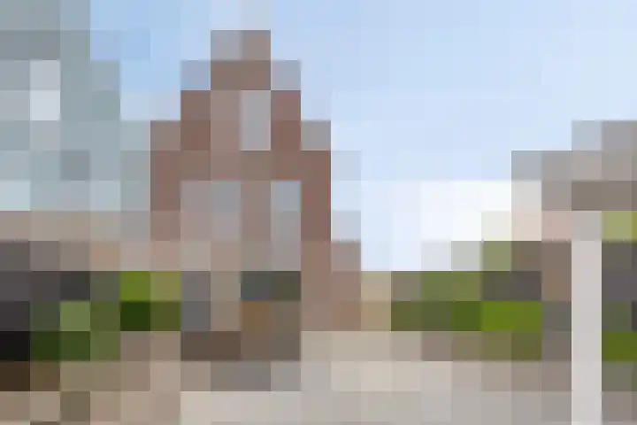 Paaldijk 83 Zwaag thumbnail 30