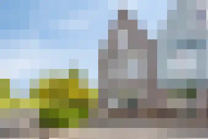 Paaldijk 83 Zwaag thumbnail 32