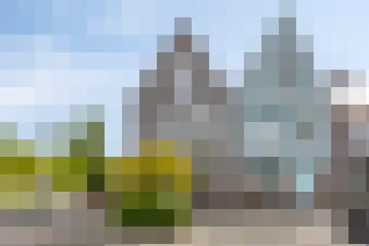 Paaldijk 83 Zwaag thumbnail 33