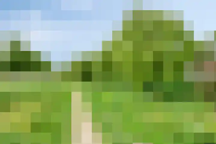 Paaldijk 83 Zwaag thumbnail 34