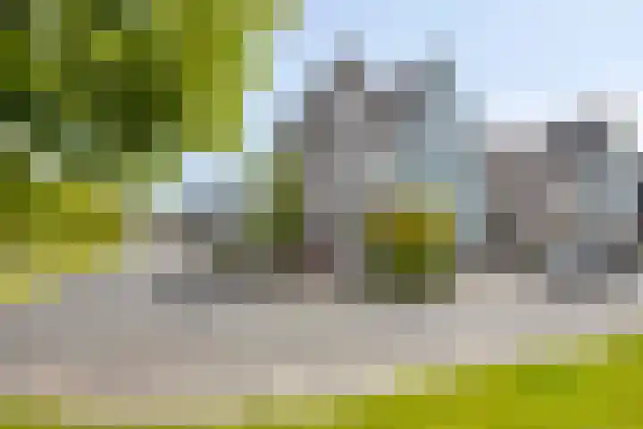 Paaldijk 83 Zwaag thumbnail 35
