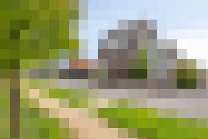 Paaldijk 83 Zwaag thumbnail 4