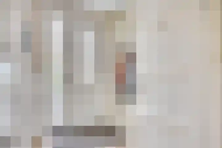 Paaldijk 83 Zwaag thumbnail 5