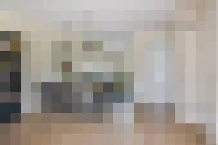 Paaldijk 83 Zwaag thumbnail 9